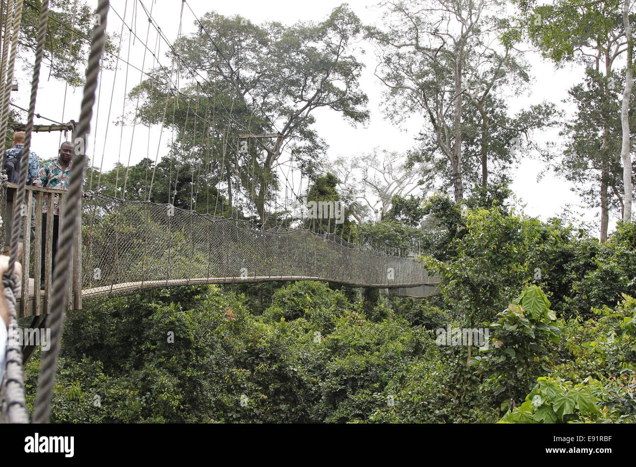 Canopy walkway Stock Photo Alamy