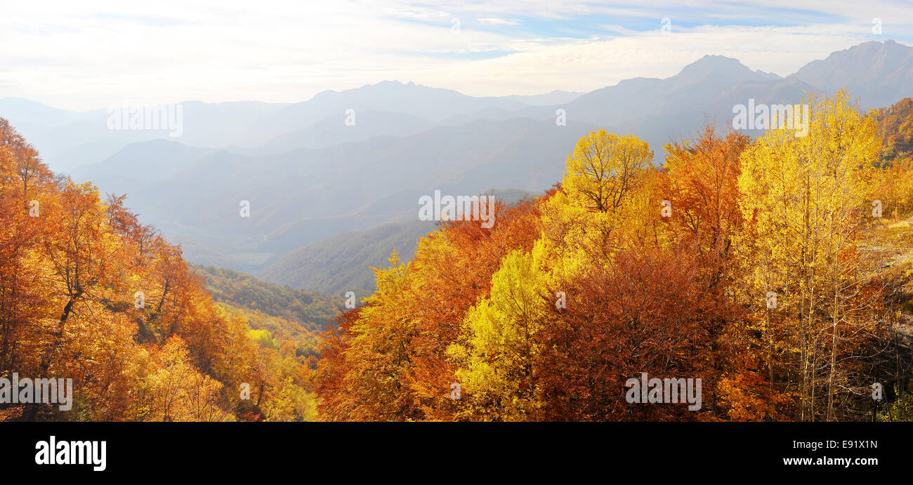 Bulgaria Old Mountain Central - Free photo on Pixabay - Pixabay