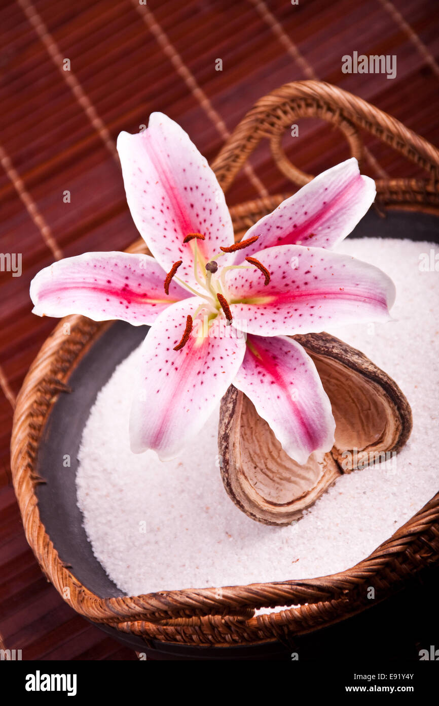 Bowl with sand and pink lily Stock Photo