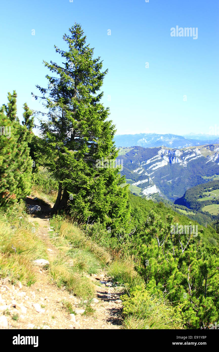 trekking path on the Monte Baldo, Italy Stock Photo