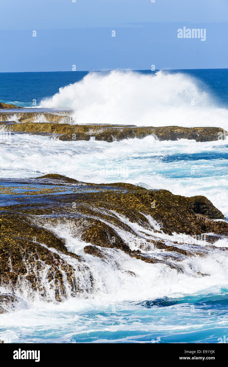 Coastline near Carnarvon in Western Australia Stock Photo Alamy