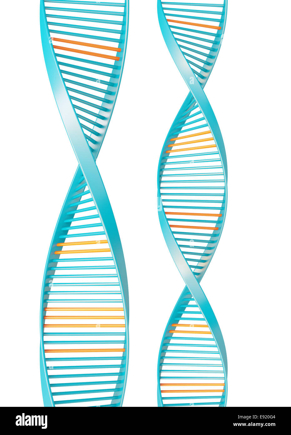 Dna strands pattern Cut Out Stock Images & Pictures Alamy