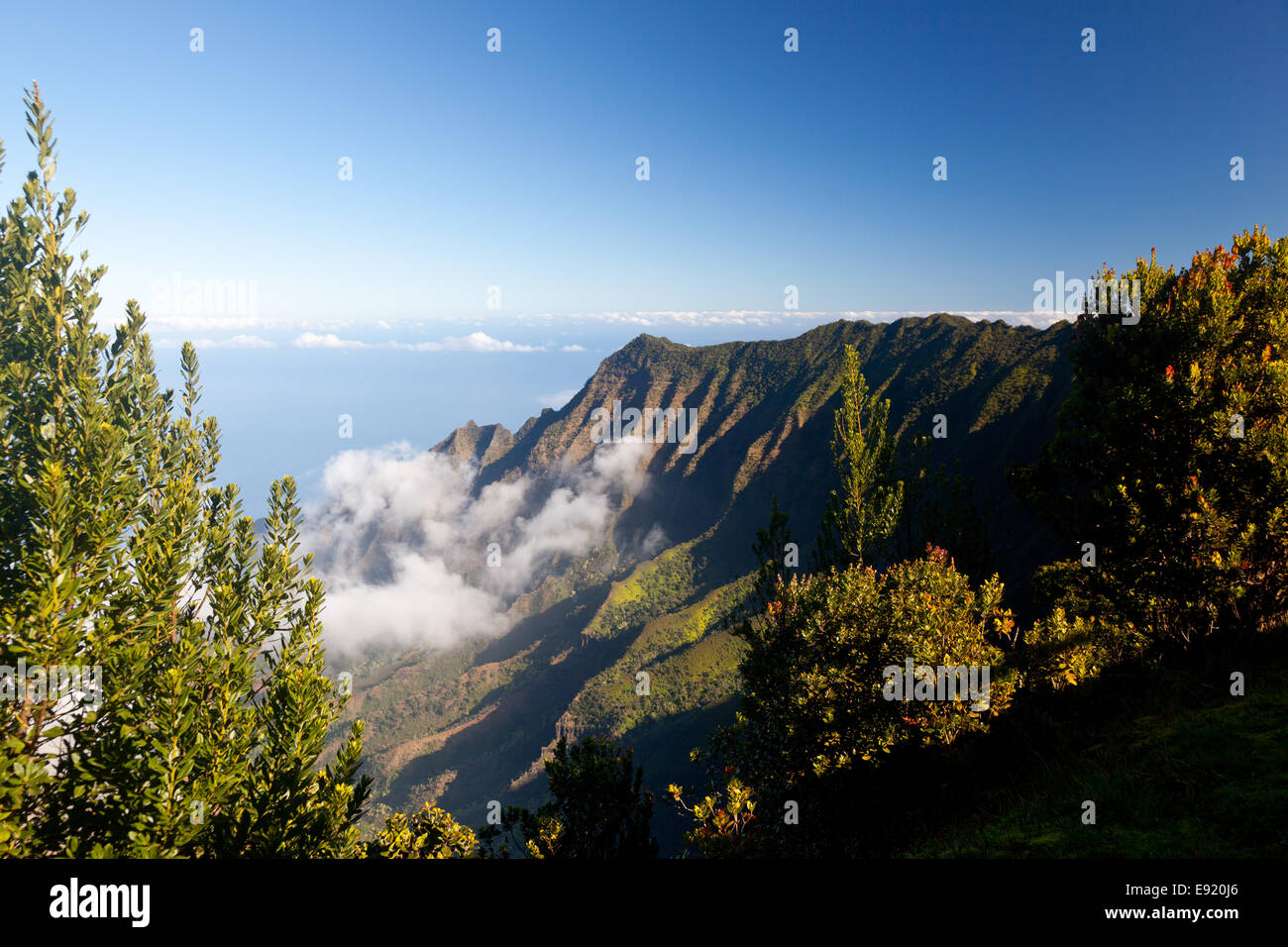 Fog forms on Kalalau valley Kauai Stock Photo Alamy