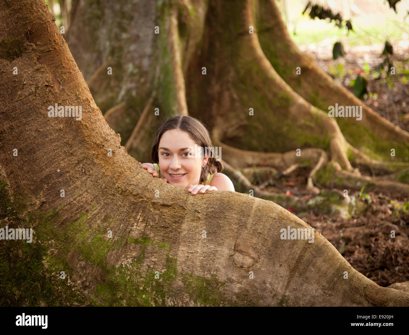 Girl peeping from behind Moreton Fig Stock Photo