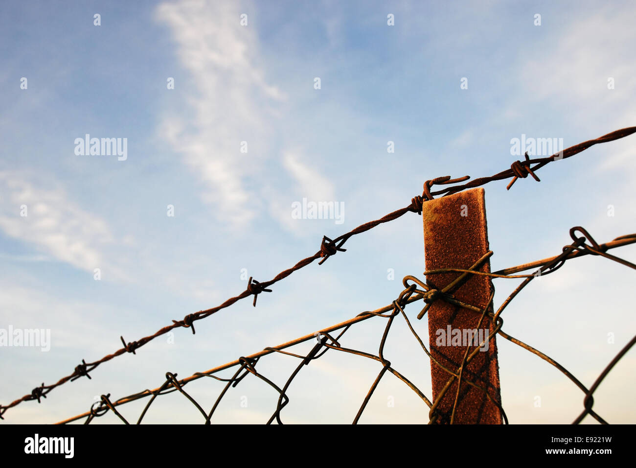 Fence and barbed wire Stock Photo