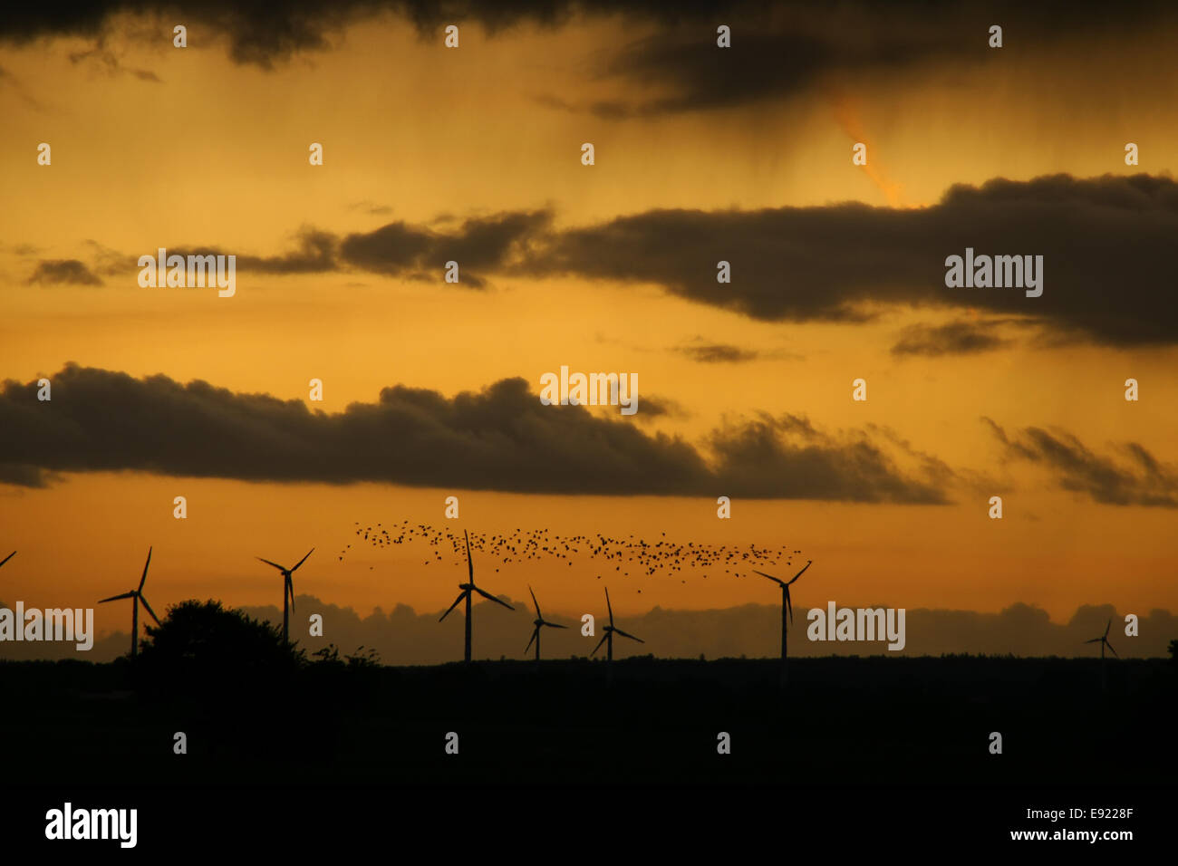 Wind engines on sundown, Germany Stock Photo