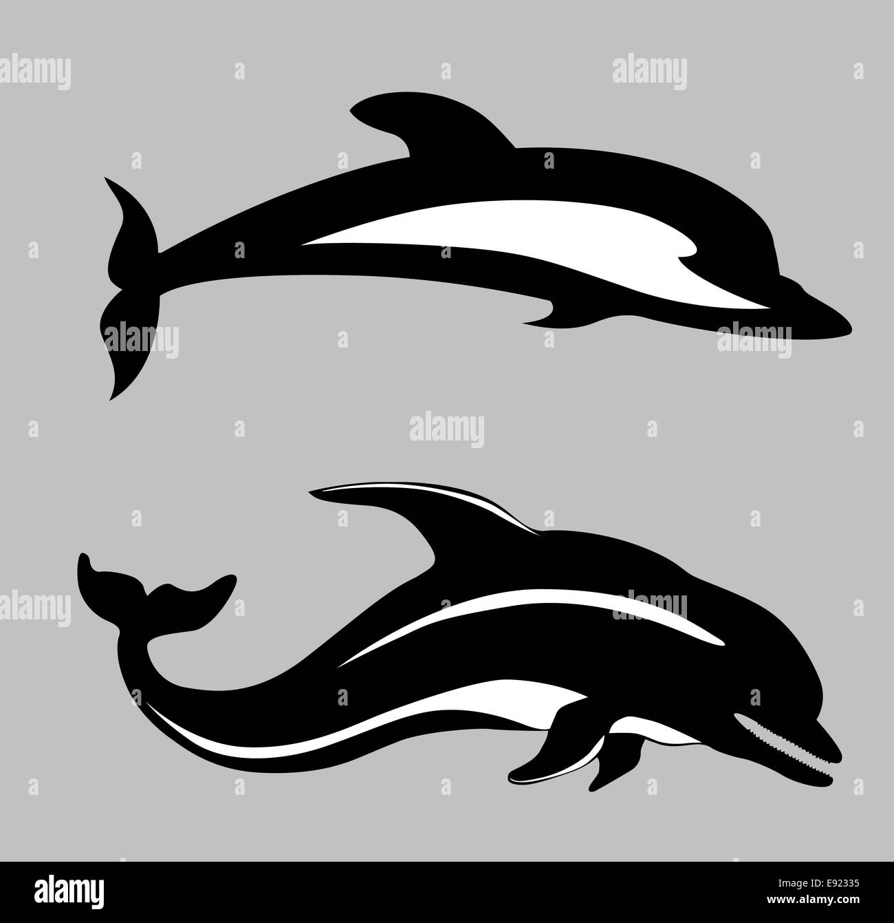 two dolphins on gray background Stock Photo