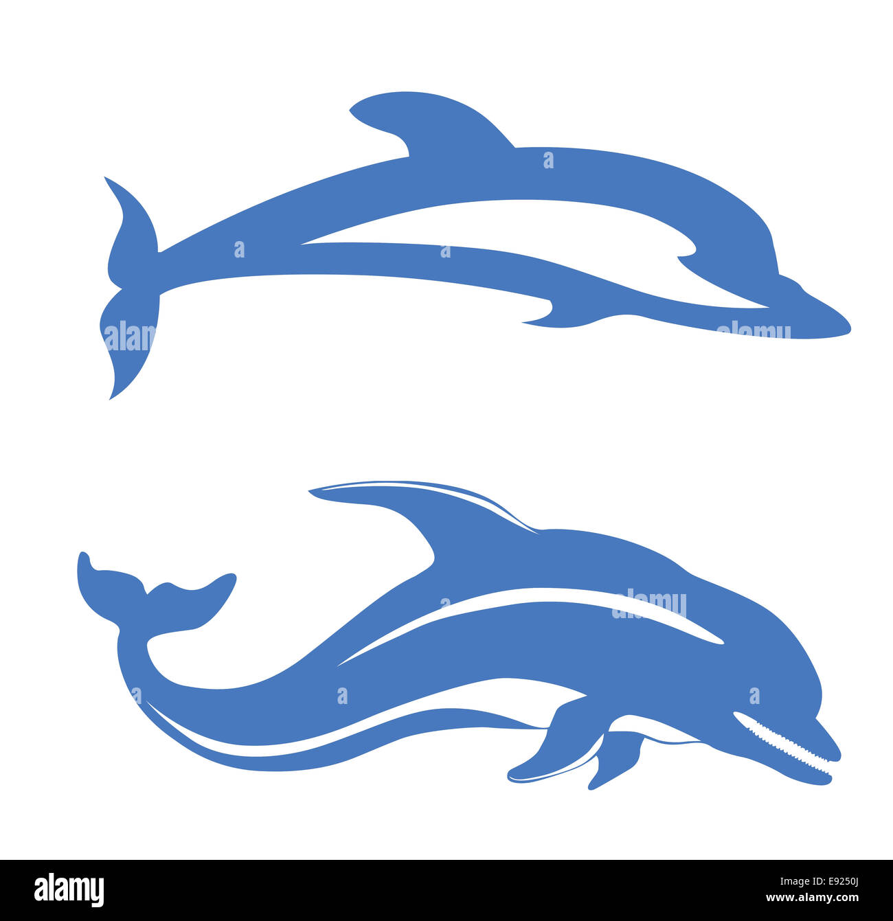two dolphins on white background Stock Photo