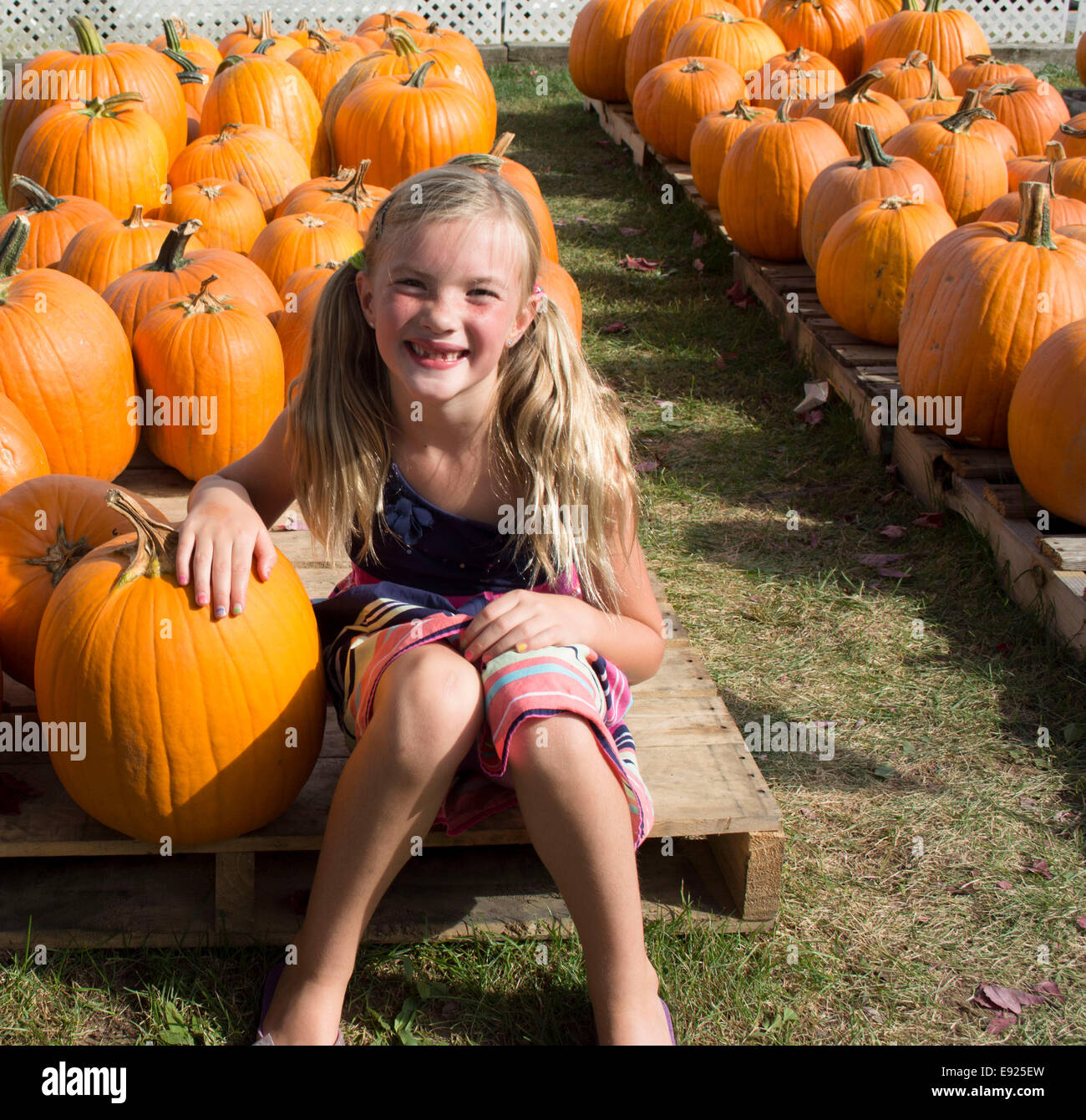 Cute girl with pumpkins Stock Photo - Alamy