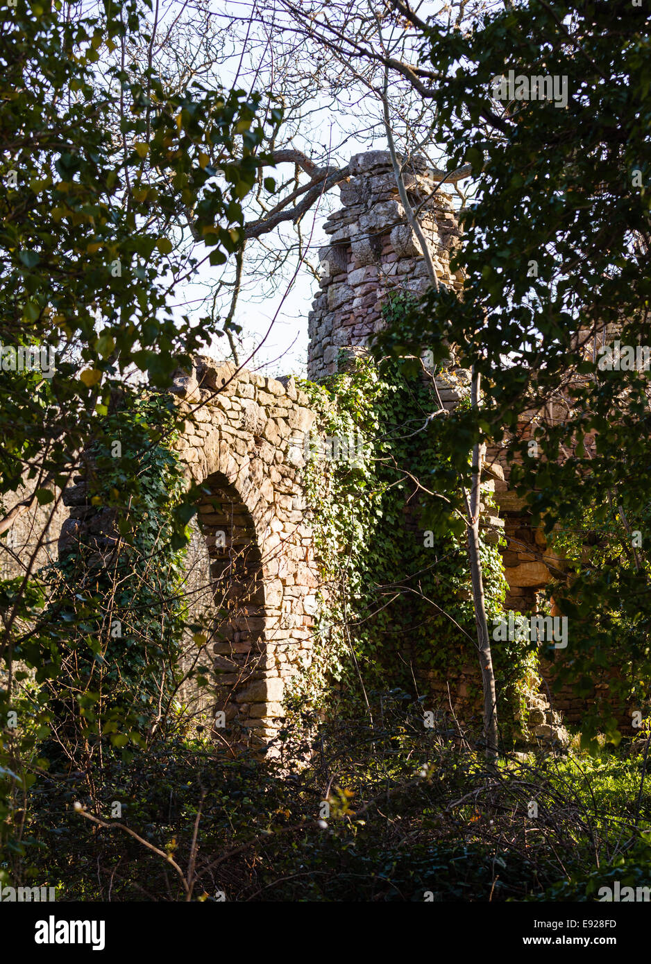 Old ruined castle in woods Stock Photo Alamy