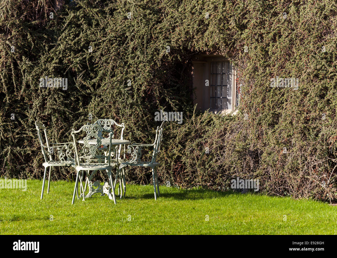 Garden table and chairs on lawn Stock Photo Alamy