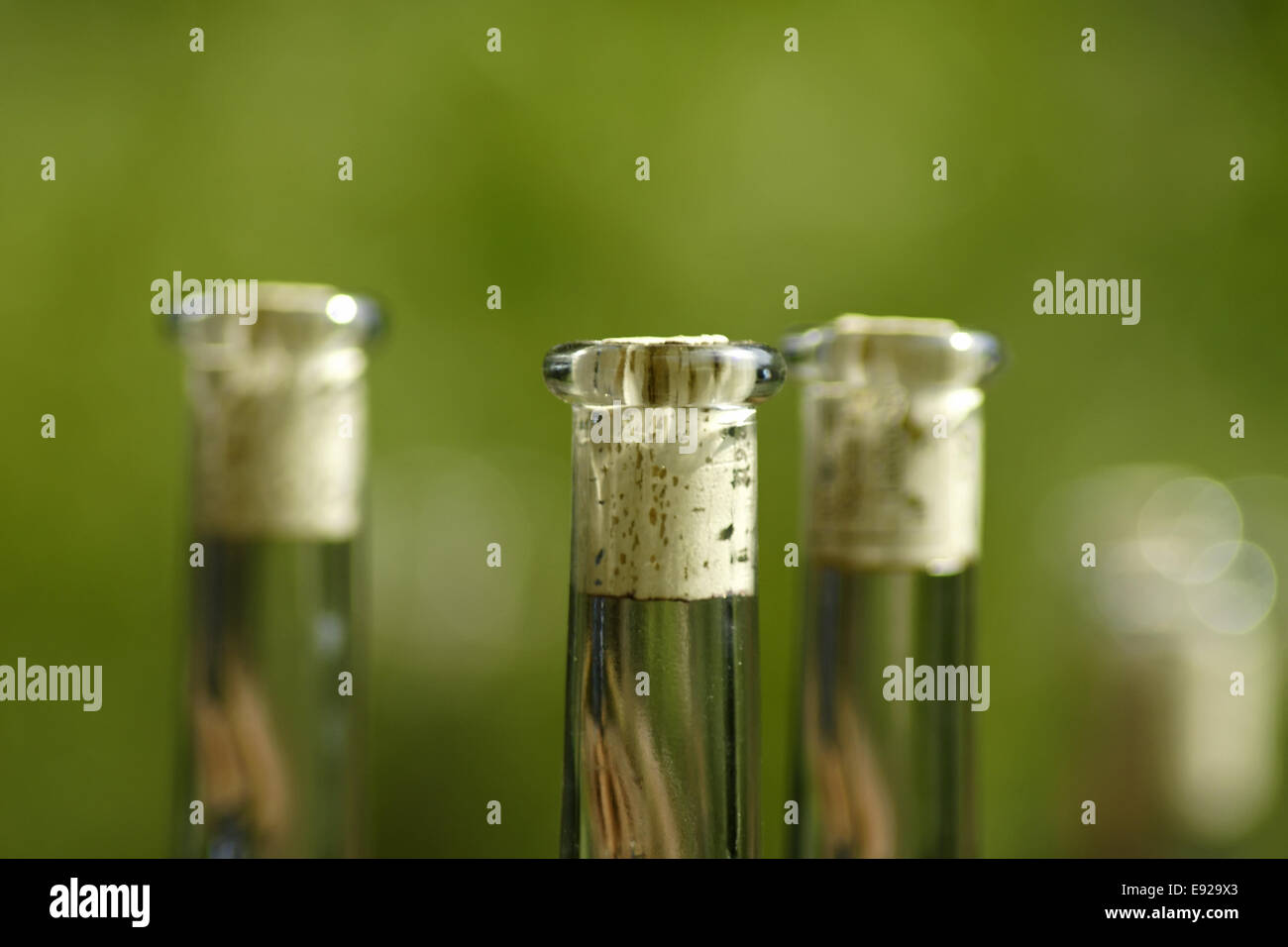 corked bottles Stock Photo Alamy