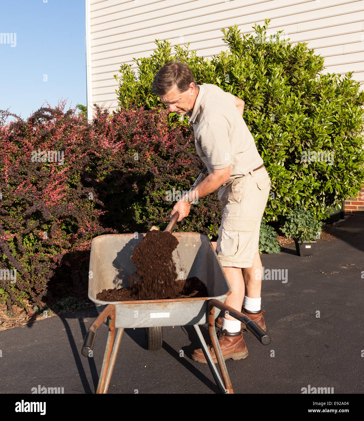 Senior man digging soil in wheelbarrow Stock Photo - Alamy