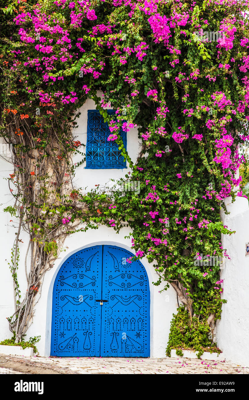 A typical blue, studded wooden door with bougainvillea growing up the whitewashed wall and wrought iron window dressing in Sidi Stock Photo