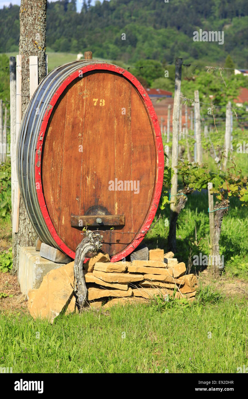 Wine barrel in the vineyard Stock Photo Alamy