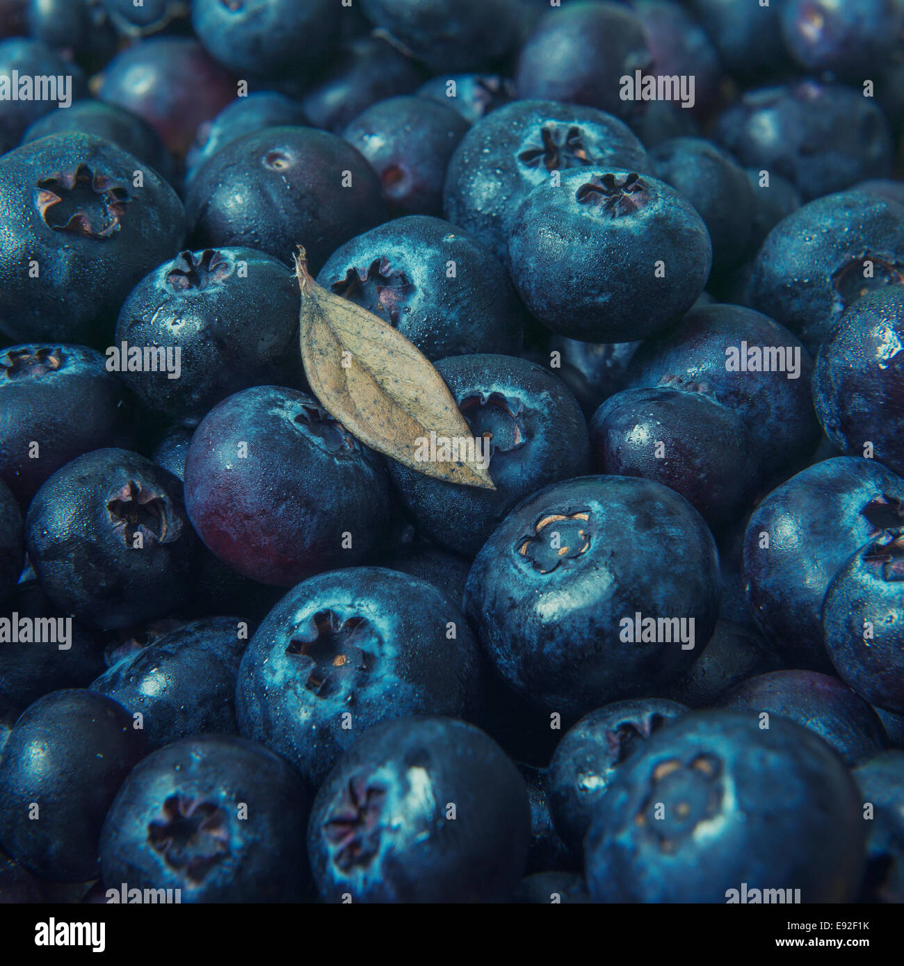 Fresh blueberries with leaf Stock Photo