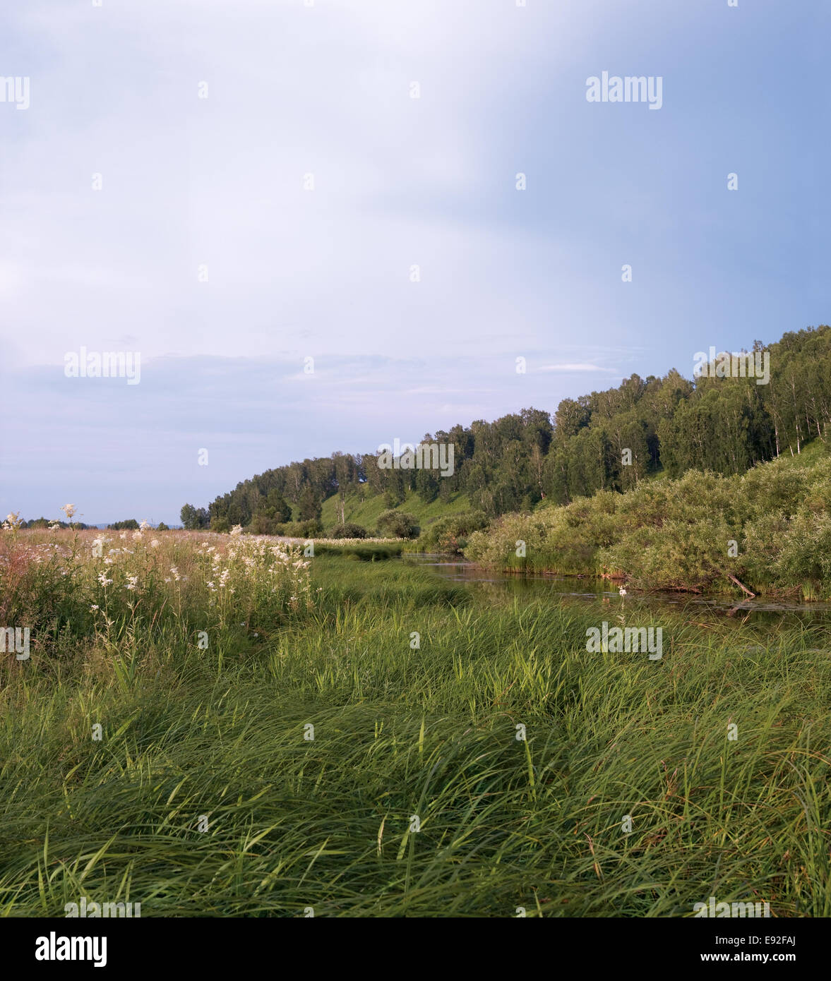 Summer landscape hi-res stock photography and images - Alamy