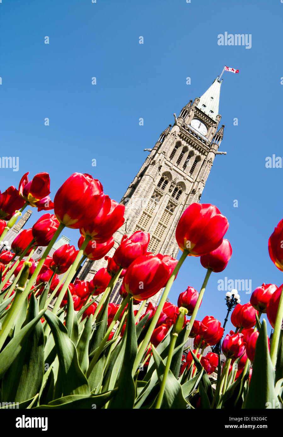 Victorian politics hires stock photography and images Alamy