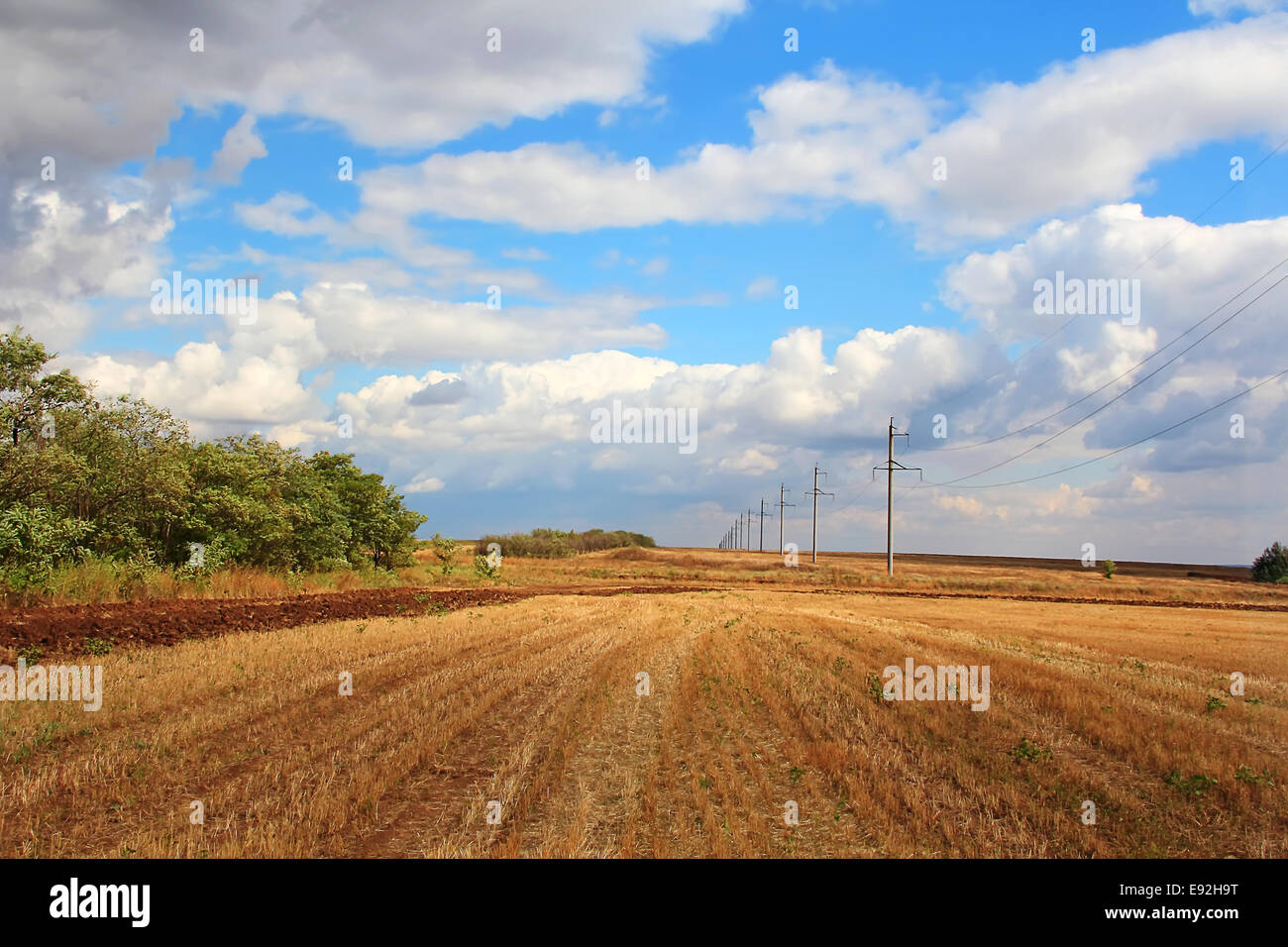 Summer landscape with field and sky Stock Photo - Alamy