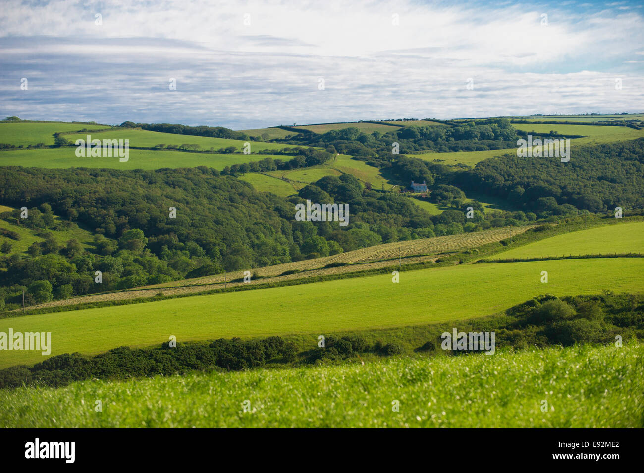 Devon countryside farm Stock Photo