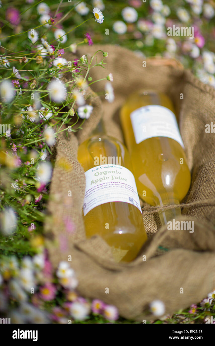 Organic apple juice bottles Stock Photo