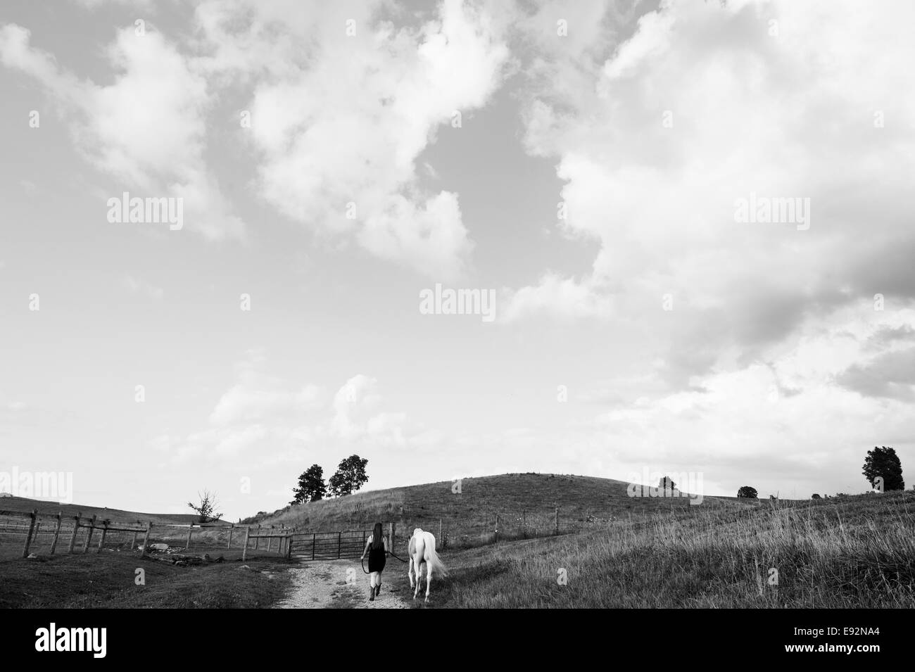 Young Women in Black Dress Walking Horse Along Rural Path in Field, Rear View Stock Photo