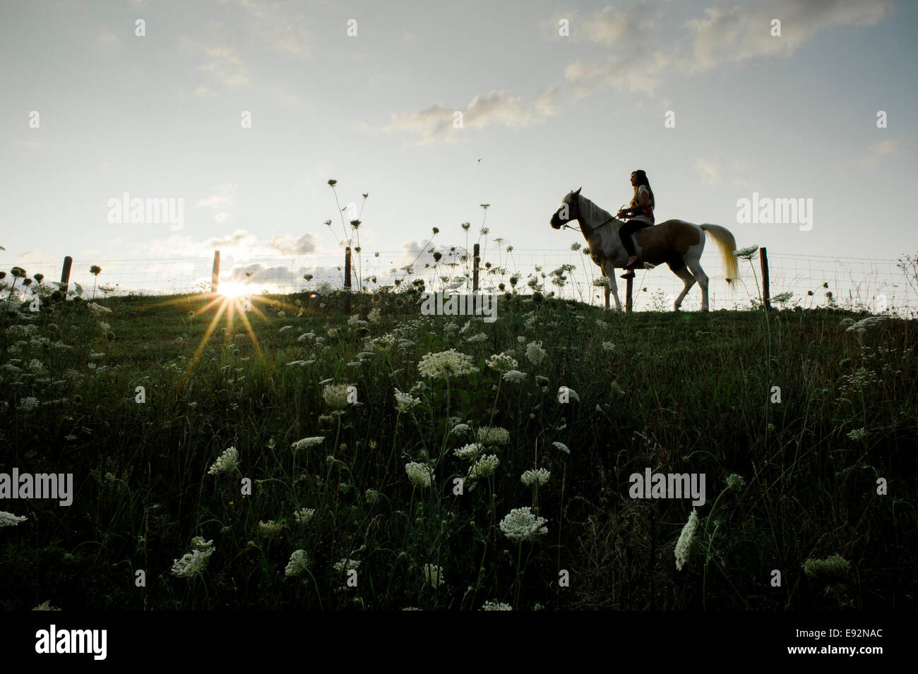 Silhouette of Young Woman Riding Horse on top of Hill, Wildflowers in Foreground Stock Photo