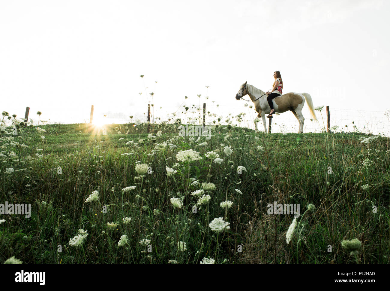 Young Woman Riding Horse on top of Hill, Wildflowers in Foreground Stock Photo