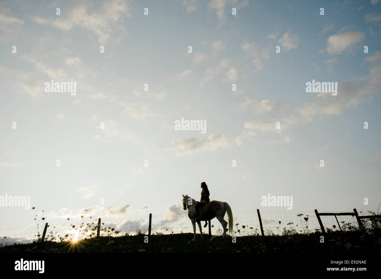 Silhouette of Young Woman Sitting on Horse Stock Photo