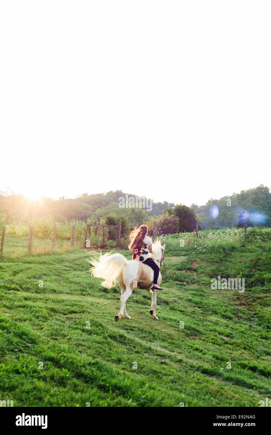 Young Woman Riding Horse in Field, Rear View Stock Photo