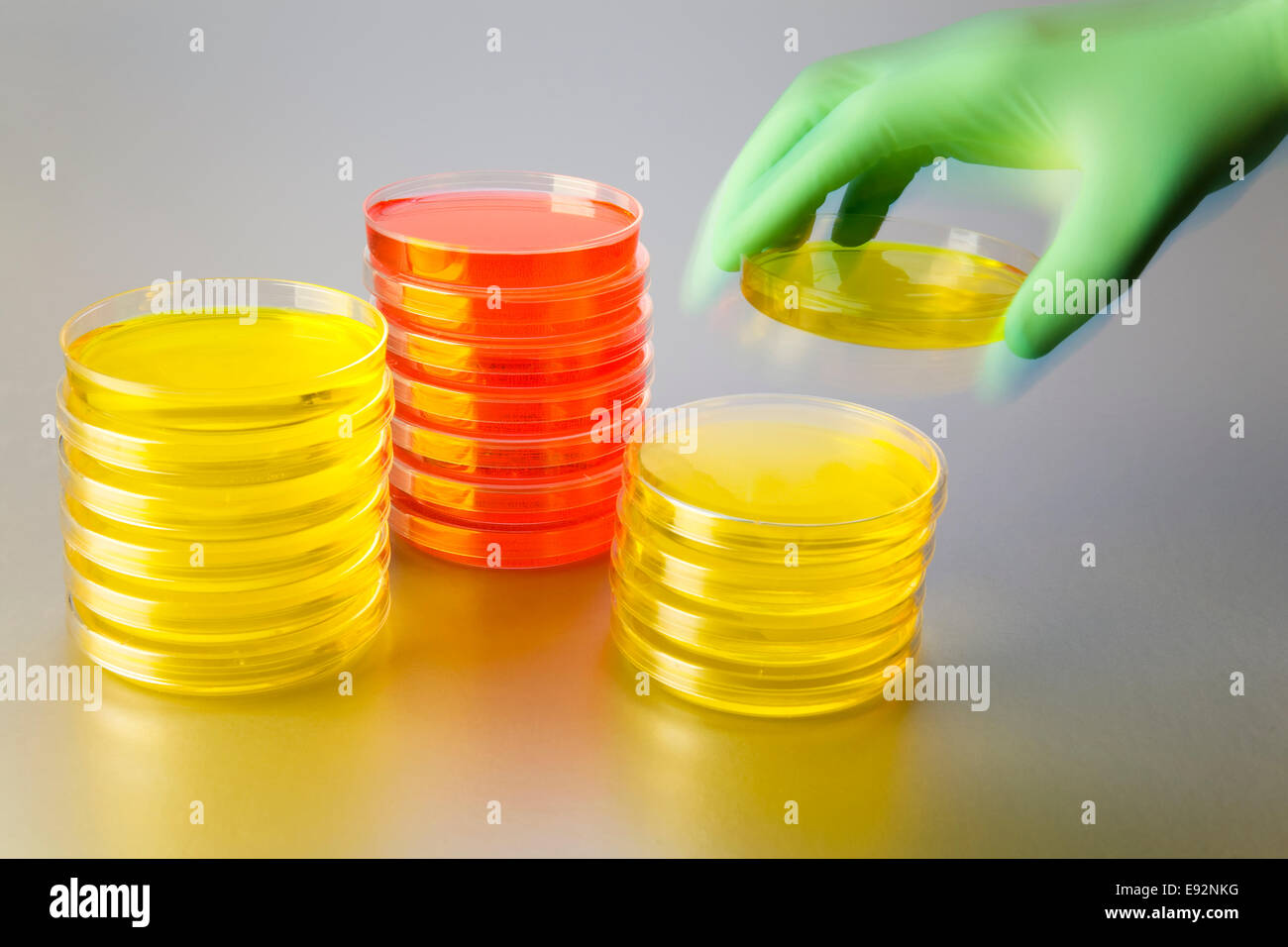 Close up gloved laboratory worker hi-res stock photography and images ...