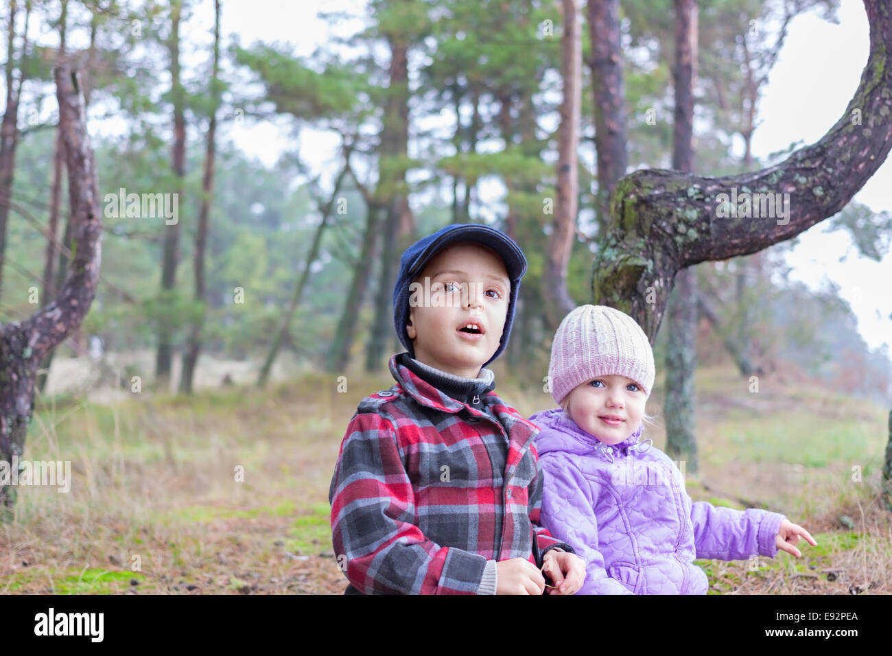 children nature outdoor brother sister boy girl Stock Photo