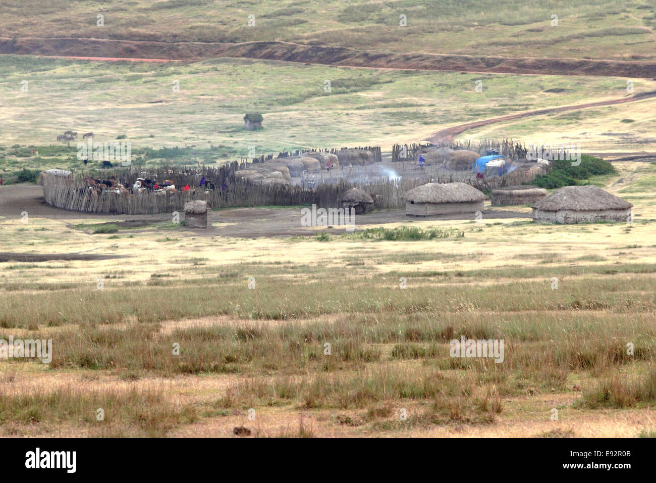 A small Maasai village between Ngorongoro Crater and Serengeti Plains, Tanzania. Stock Photo