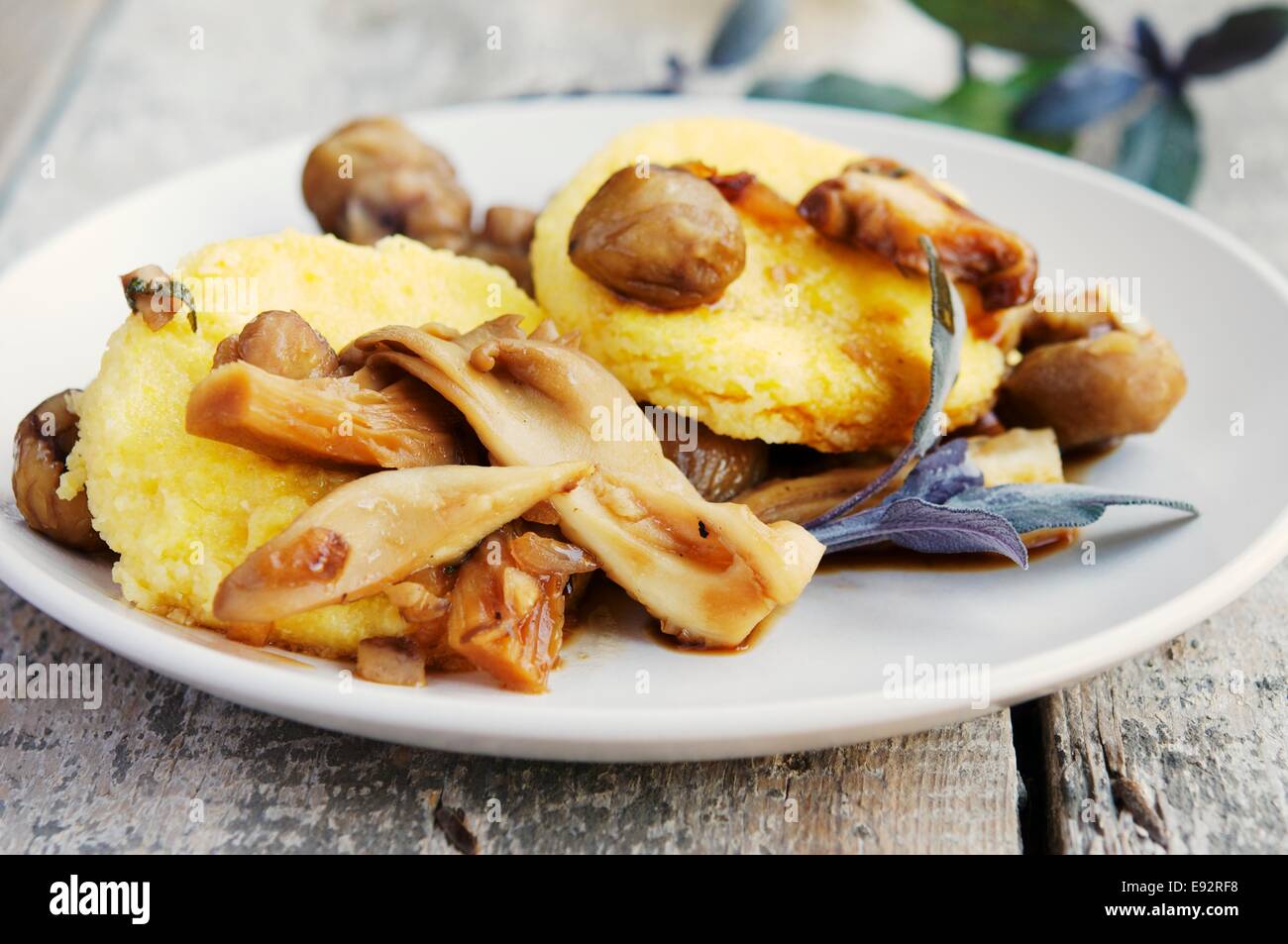 Chestnuts with wild mushrooms polenta with a light sauce with sage. Stock Photo