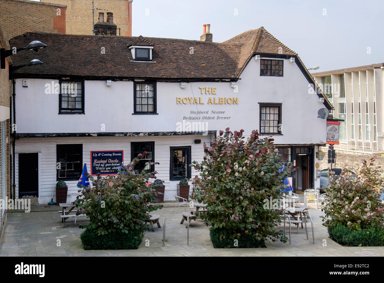 The Royal Albion pub for Shepherd Neame brewery is oldest building in Maidstone, Kent, England, UK, Britain Stock Photo