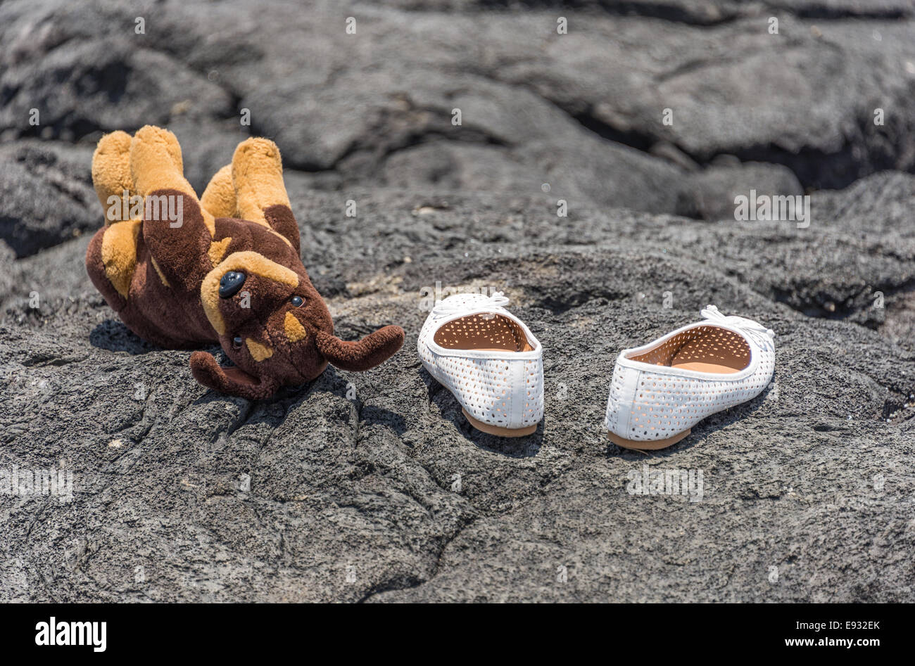 white shoes and plush dog on lava rock in Hawaii Big Island Stock Photo