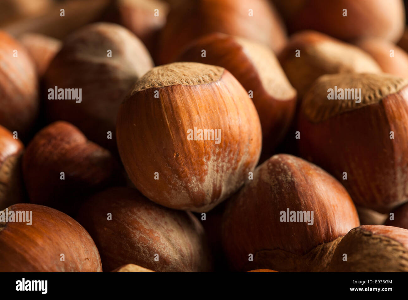 Raw Organic Whole Hazelnuts in a Bowl Stock Photo Alamy