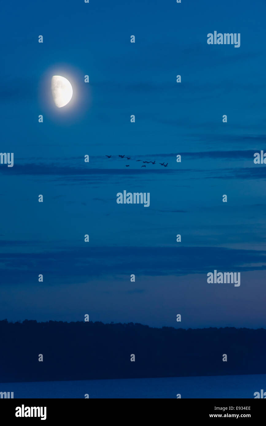 Flying To The Moon High Resolution Stock Photography and Images - Alamy