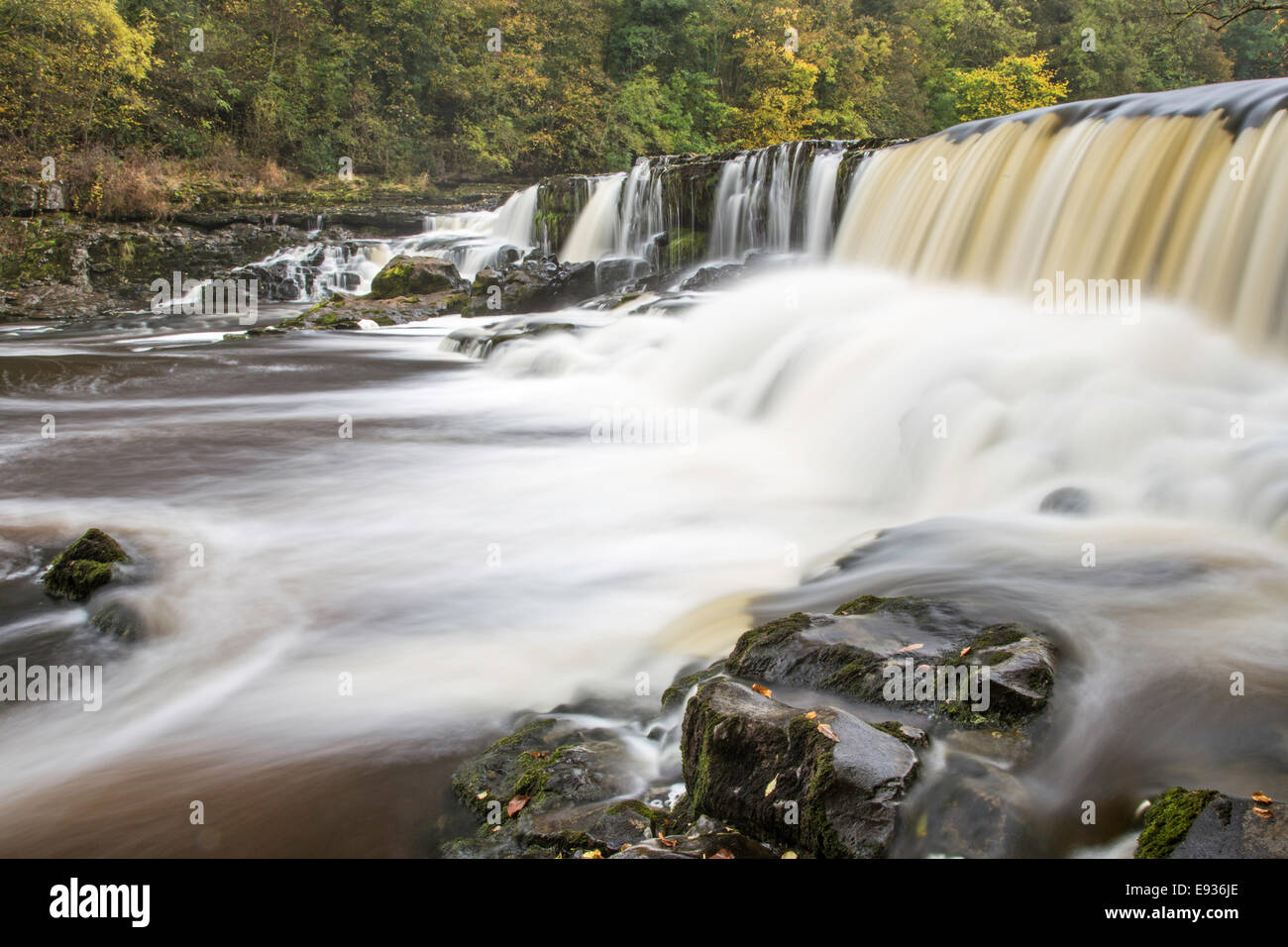 Autumn on the River Ure at Upper Aysgarth Falls in the Yorkshire Dales National Park, North Yorkshire, England, UK Stock Photo