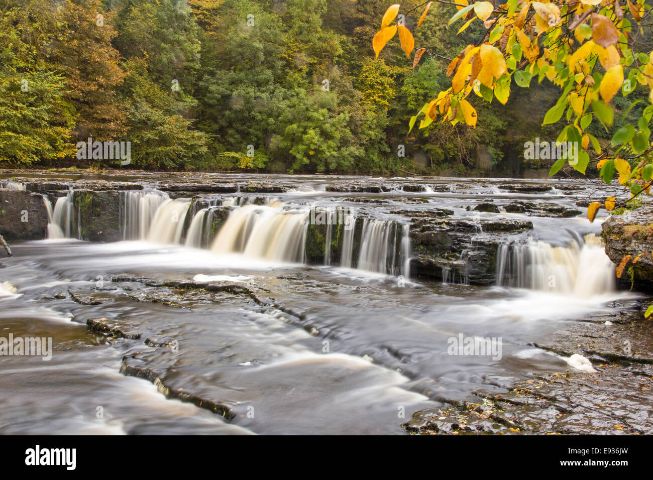 Autumn on the River Ure at Upper Aysgarth Falls in the Yorkshire Dales National Park, North Yorkshire, England, UK Stock Photo