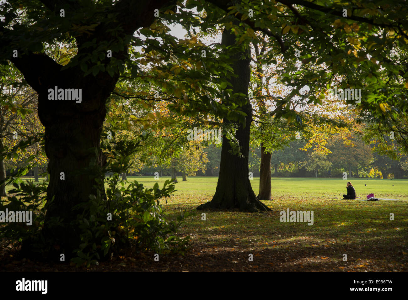 Young female sitting cross legged and observing the trees in Greenwich Park, London, England Stock Photo