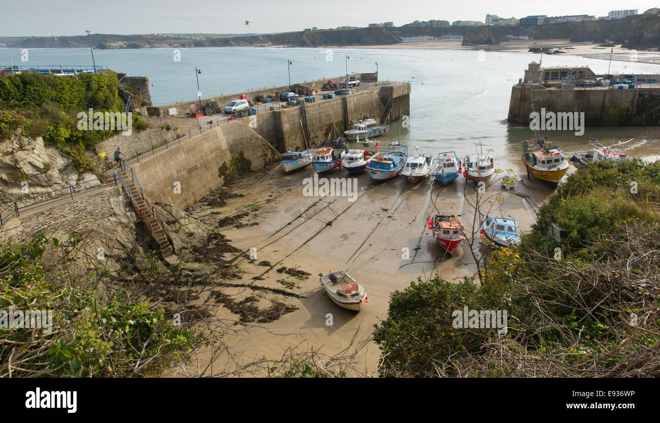 Elevated view of Newquay harbour North Cornwall England UK with boats at low tide Stock Photo