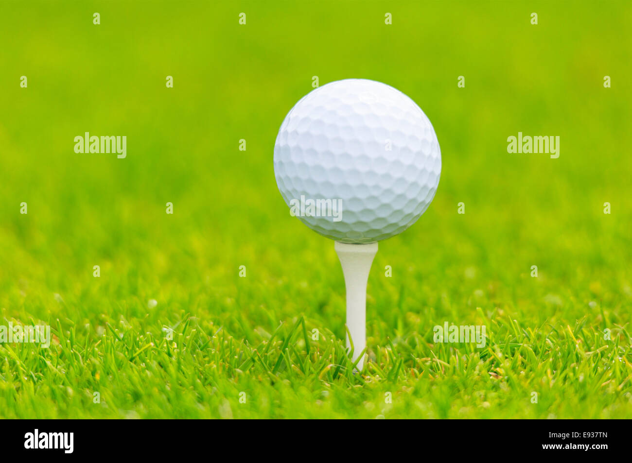 golf ball on tee Stock Photo