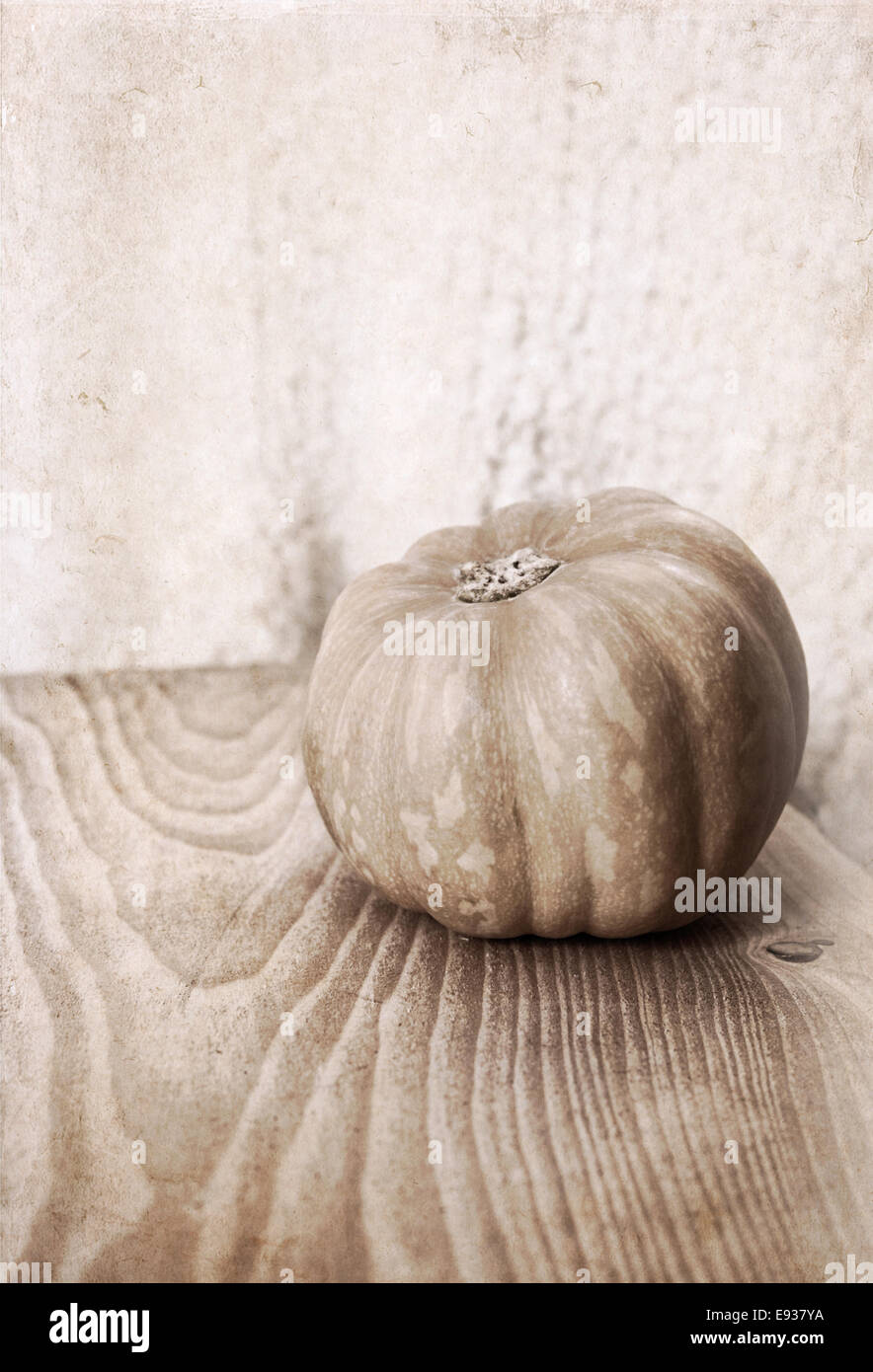 Artwork  in painting  style,  small pumpkin Stock Photo