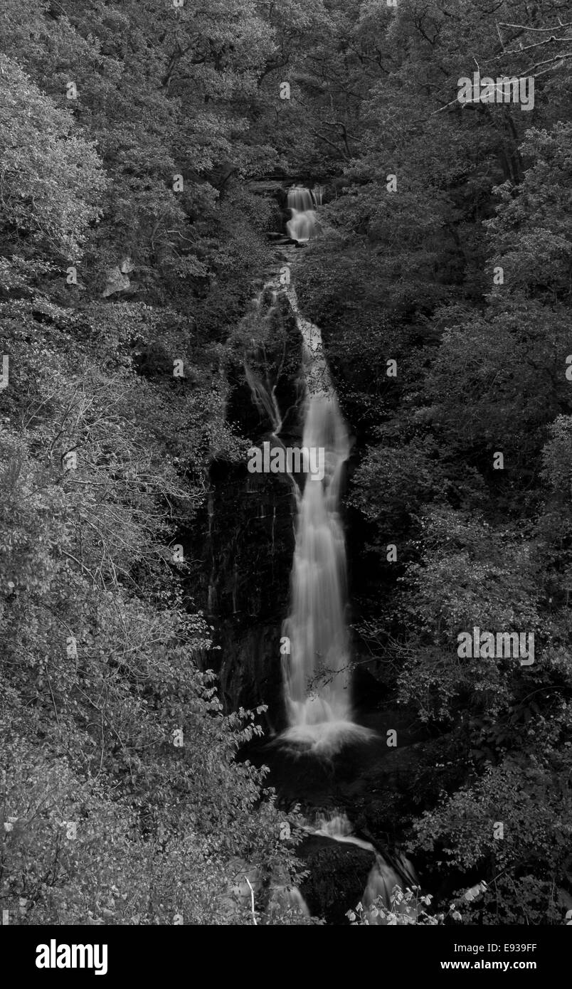 Black Spout Waterfall near Pitlochry in Autumn Stock Photo