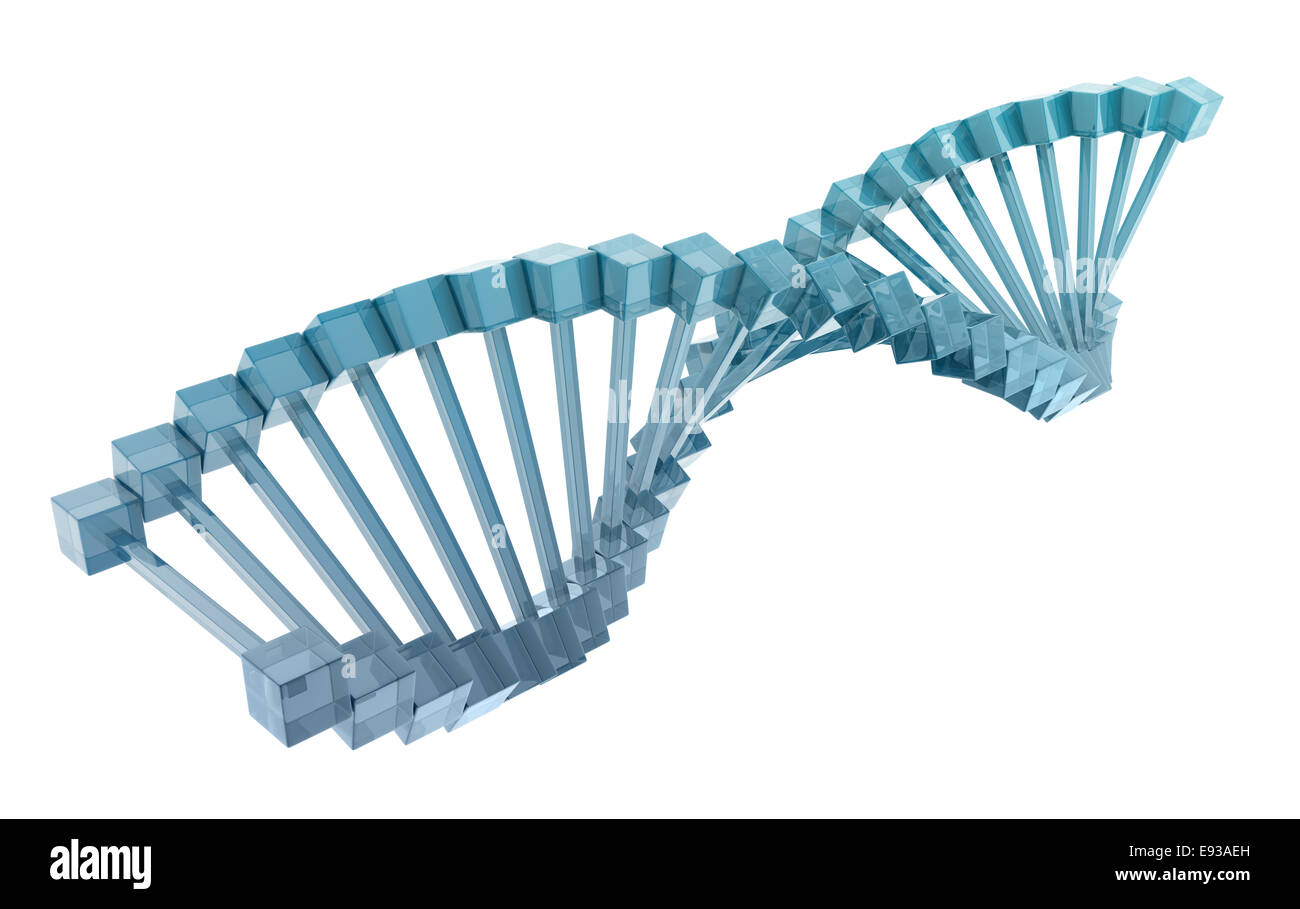 glass DNA model on white background. Stock Photo
