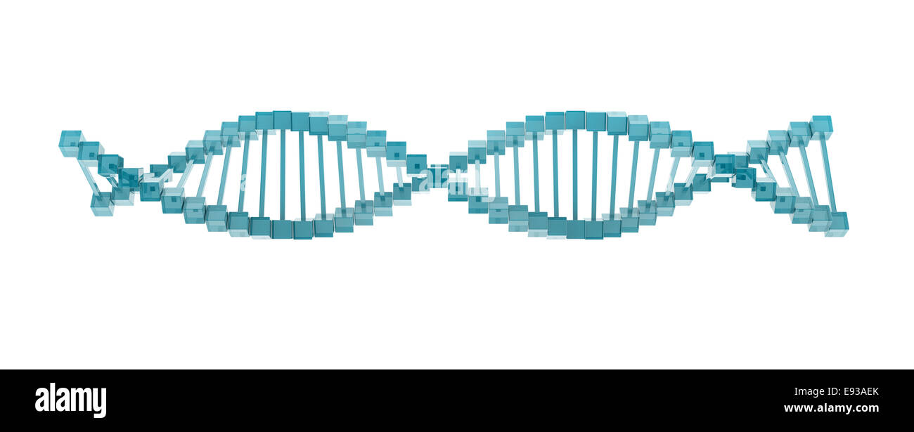 glass DNA model on white background. Stock Photo