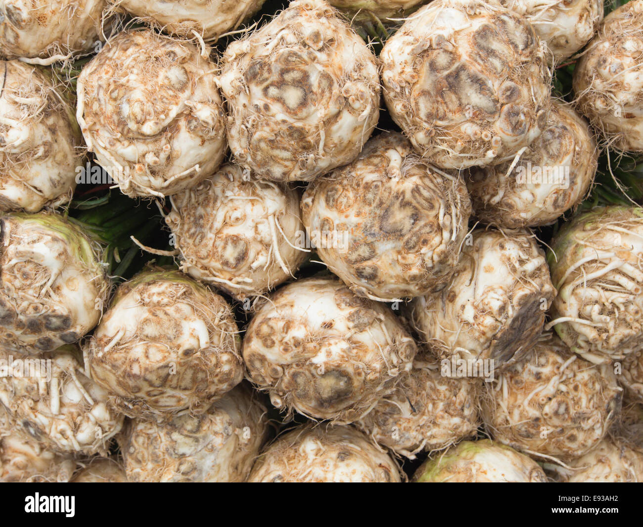 Farmers market in Oslo the capital city of Norway, close up of Celeriac root or knob celery Stock Photo