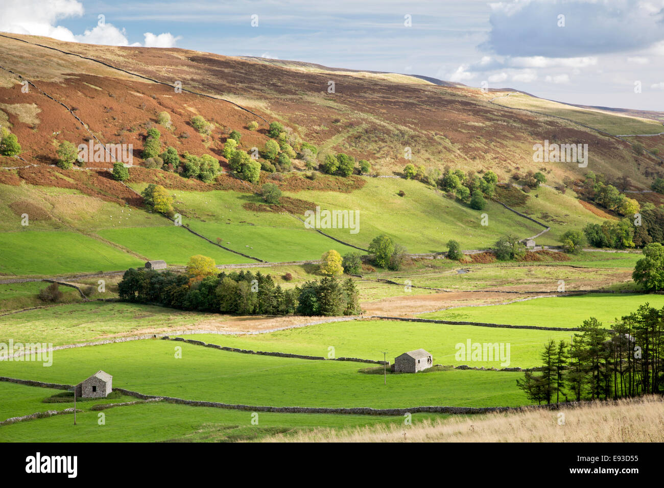 Autumn in limestone country looking down Littondale, Yorkshire Dales National Park, North Yorkshire, England, UK Stock Photo