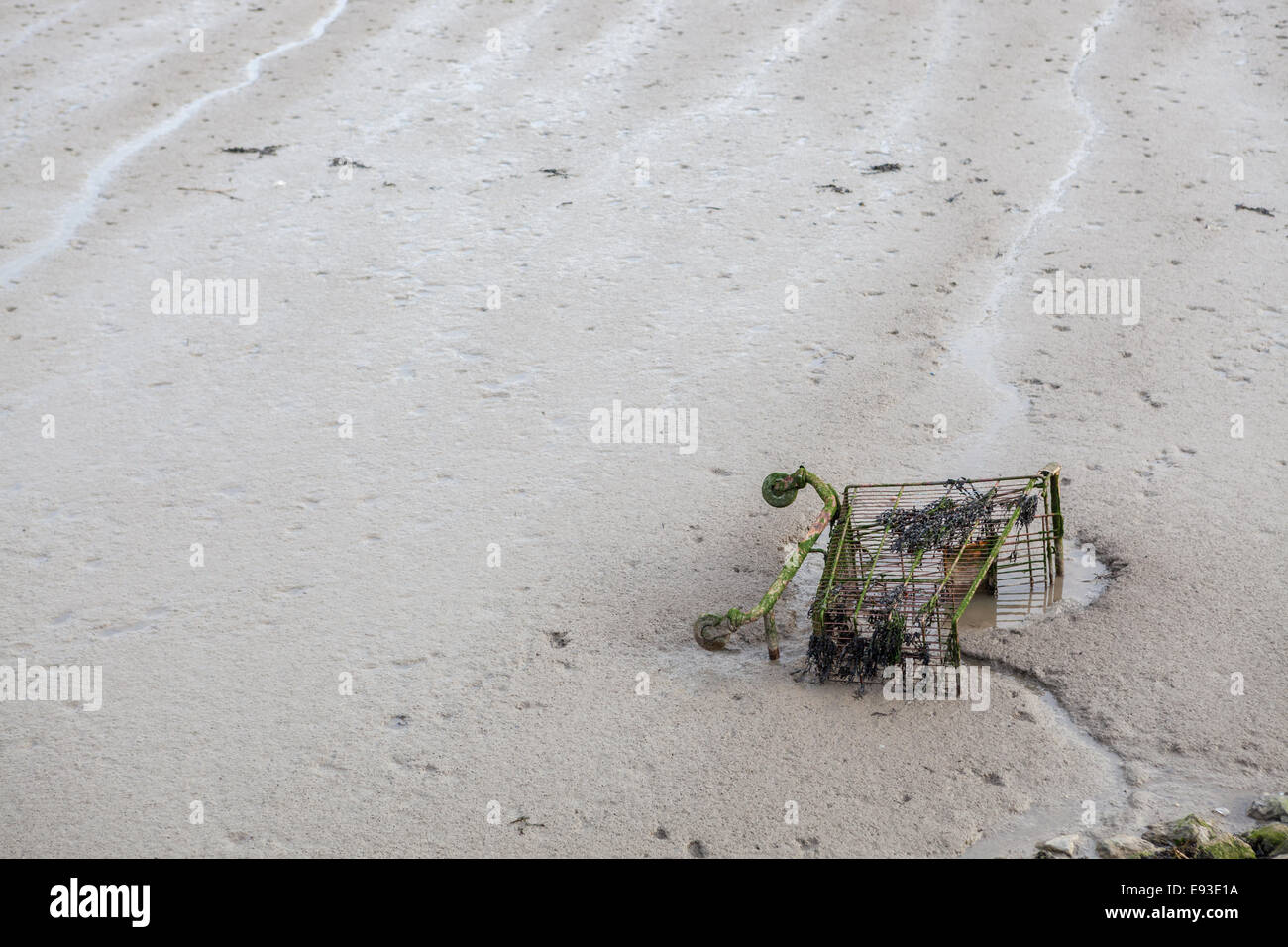 Shopping trolley on the foreshore of the River Thames at Grays in Essex Stock Photo